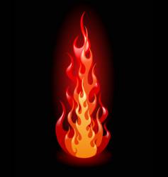 flames on black background vector image