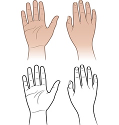 Woman man hands isolated on white vector image