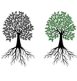 Tree silhouette vector image