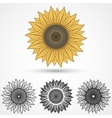 Sunflower icon vector image