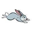 Rabbit vector image