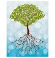 Tree vector image