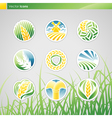 Wheat and rye vector image