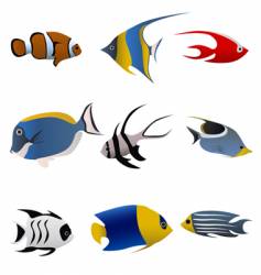 Tropical fish vector image