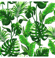 Tropical seamless pattern with palm leaves vector image
