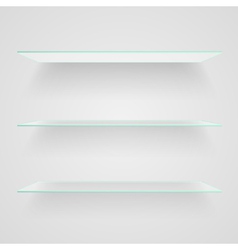 Glass shelves vector image
