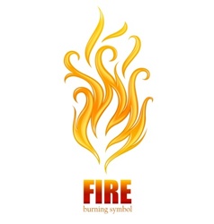 Burning flame of fire vector image
