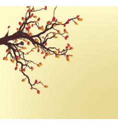 Autumn tree vector image