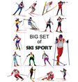 Ski sport vector image