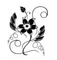 Flower black a white pattern vector image