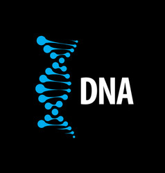 Logo dna vector image