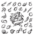 Fruits and vegetables vector image