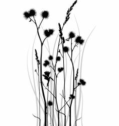 Grass silhouette vector image