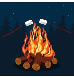 Bonfire with marshmallow vector image