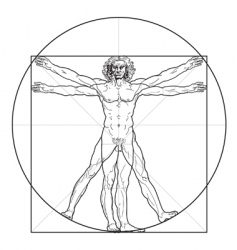 The Vitruvian man vector image