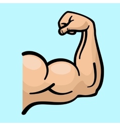 Muscle arms strong bicep icon vector image