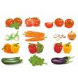 Vegetables vector image