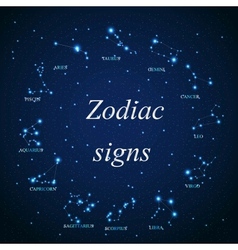 The aries zodiac sign of the beautiful bright vector image