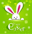 Easter bunny looking out a green background vector image