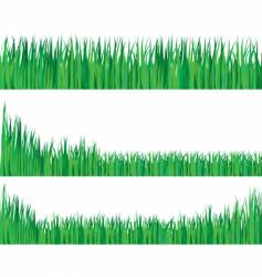 Grass vector image