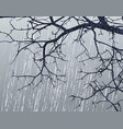 Winter branches vector image