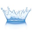 Water crown vector image