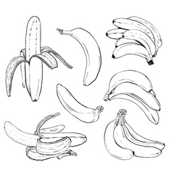 Banana set vector image