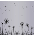 Dandilone seam grey vector image