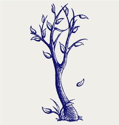 Trees silhouettes vector image