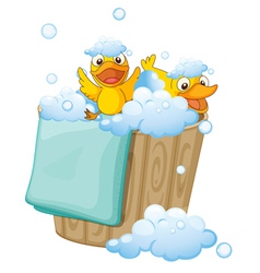 Duckling in a foam bucket vector image