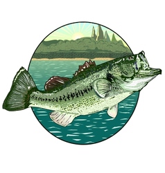 Big mouth bass vector image