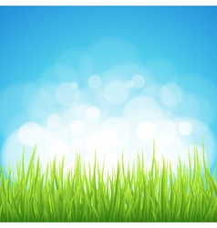 Spring background vector image