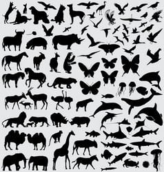Animals silhouette set vector image