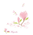 Magnolia branch and dragonfly vector image