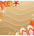 Flip flops and shels vector image