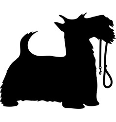 Scotty dog and leash thm vector image