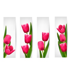 Set of banners with pink flower vector image