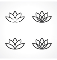 Lotus symbol vector image