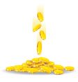 Golden rain vector image