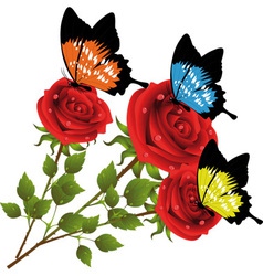 Summer vector image