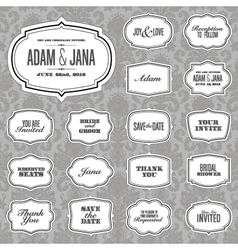 Wedding invites vector image