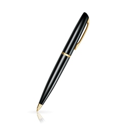 Pen icon vector image