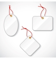 Set of plastic tags on the rope vector image