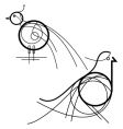 Birds vector image