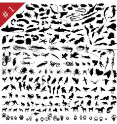 Animal silhouettes vector image