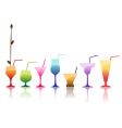 Cocktail vector image
