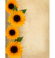 Retro background with yellow flowers vector image