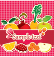 Fruit drop vector image