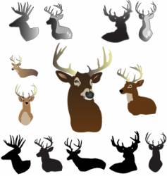 Deer vector image