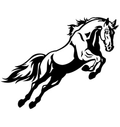 Jumping horse vector image